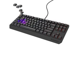 Genesis NKG-2079 Thor 230 TKL Gaming Μηχανικό Πληκτρολόγιο Tenkeyless με Outemu Brown διακόπτες και RGB φωτισμό (Αγγλικό US)