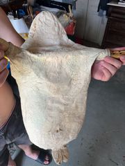 ΤΣΑΜΠΟΥΝΑ Η ΤΣΑΜΟΥΝΤΑ ΠΑΡΑΔΟΣΙΑΚΗ ΧΕΙΡΟΠΟΙΗΤΗ