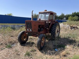 BELARUS MTZ / 50