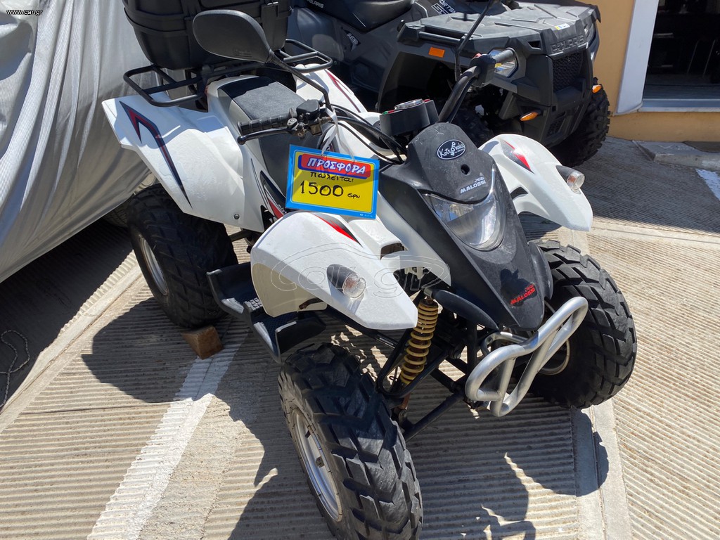 Daytona Mistral 50 2019