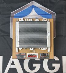 Ψυγείο Νερού Για Piaggio/Gilera/Aprilia 250-300-310-350-400-500cc 2006-2025 Μοντέλα Καινούργιο Γνήσιο