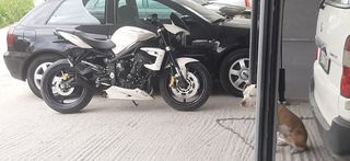 Triumph Street Triple 675 2009