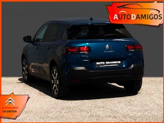 Citroen C4 Cactus 2018 1.2 130HP SHINE NAVI- CLIMA -PANORAMA ΠΛΟΥΣΙΟ-thumb-6