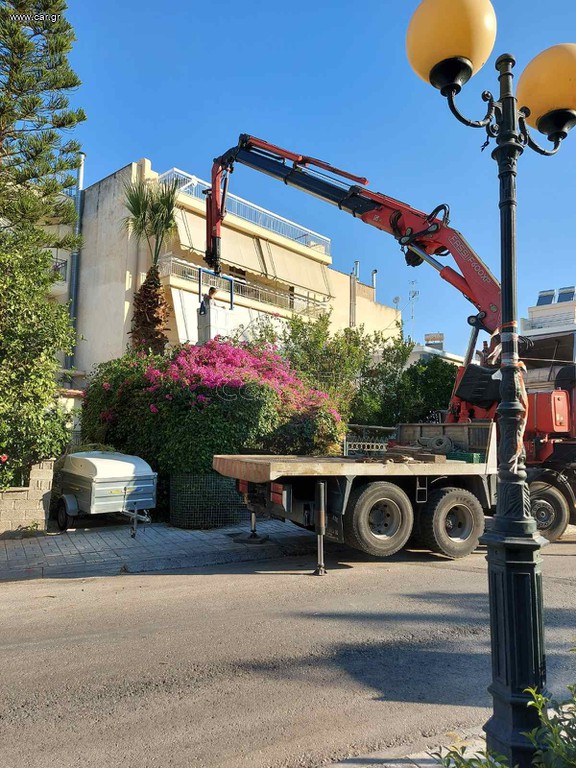 Φοίνικας ύψους 9 μέτρων