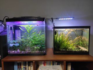 Ενυδρείο 35L