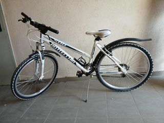 Πόλης Bottecchia 2010 FX500