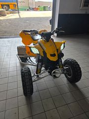 CAN-AM DS 450 EFI 2010