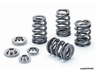 SUPERTECH ΣΕΤ ΕΛΑΤΗΡΙΑ ΒΑΛΒΙΔΩΝ  Honda S2000 / F20 Dual Valve spring Kit.  95lbs