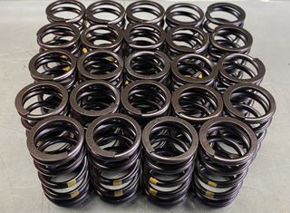 DBILAS Valve spring set for BMW 6-Cyl. 320 - 325i E 36 24V (M50 & S50)