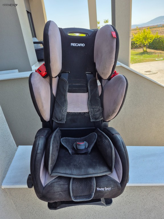 Recaro young sport
