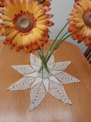 ΣΕΜΕΝ "ΑΣΤΕΡΙΑΣ " ΠΛΕΚΤΟ ΒΕΛΟΝΑΚΙ