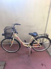 Πόλης Orient 2023 Orient City Classic 28"