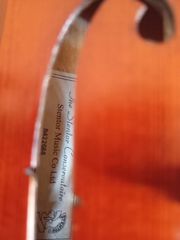 Βιολί 4/4 Stentor Conservatoire-thumb-5