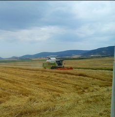 Θεριζοαλωνιστικές Claas 2000 208