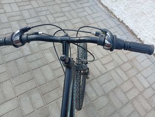 All - Mountain 2019 Talson XCF-thumb-5