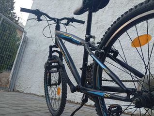 All - Mountain 2019 Talson XCF-thumb-8