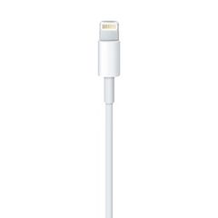 Apple Lightning to USB Cable (0.5 m)-thumb-1