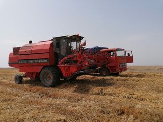 Πωλείται Βίκος 22 τόνοι περιοχή Λάρισα