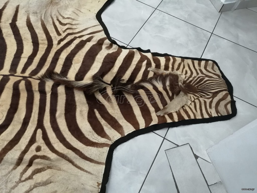 Αληθινό χαλί Ζέμπρας