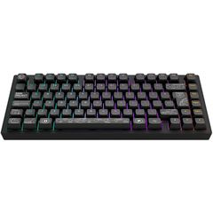 Dark Project - Nova Black 81 RGB Wireless / Computers