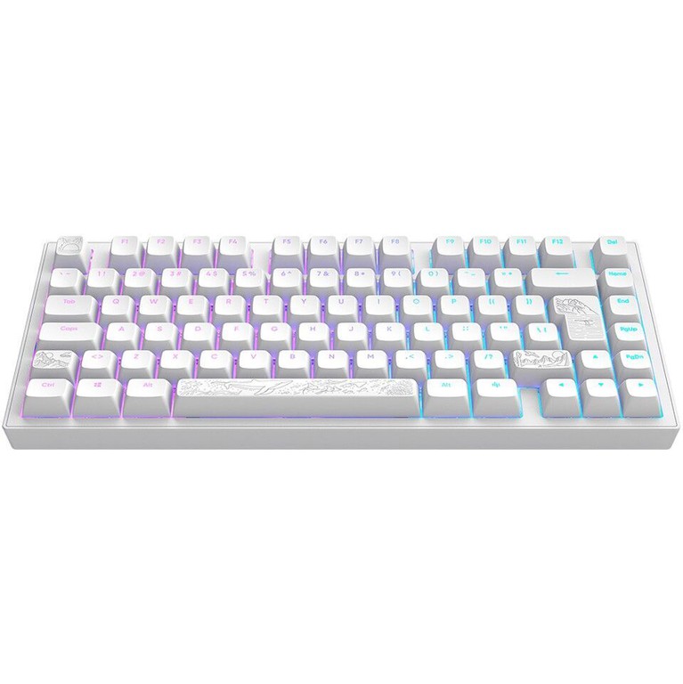 Dark Project - Nostra White 81 RGB / Computers