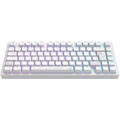 Dark Project - Nostra White 81 RGB / Computers