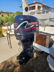 Evinrude 2002 175