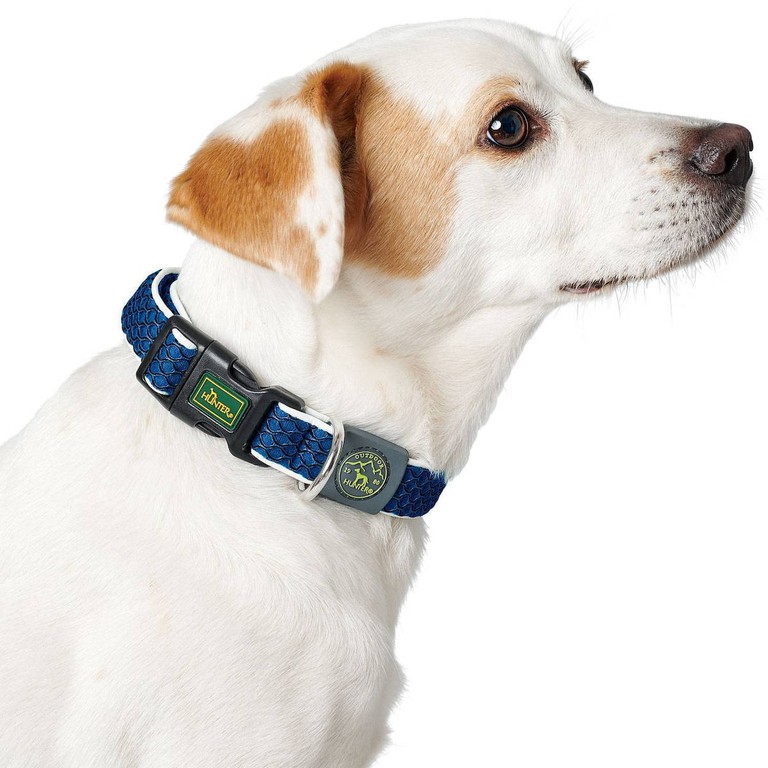 Collar Hilo Vario Basic S-M, blue