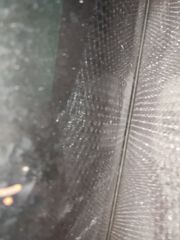 πόρτα οδηγού toyota corolla τρίπορτο 1997 -2000