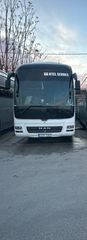 MAN 2009 Lion s coach
