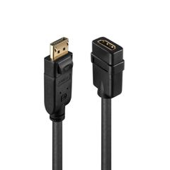 Lindy LY-41005 Μετατροπέας DisplayPort male σε HDMI female