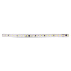 Ταινία led driver free 50m 8W 240V σε 6500K ψυχρό φως IP44 plus