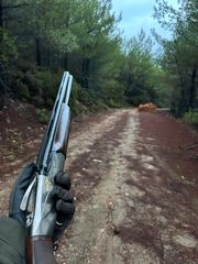 BENELLI 828U Limited Edition-thumb-2