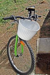 BMX Everest 2022