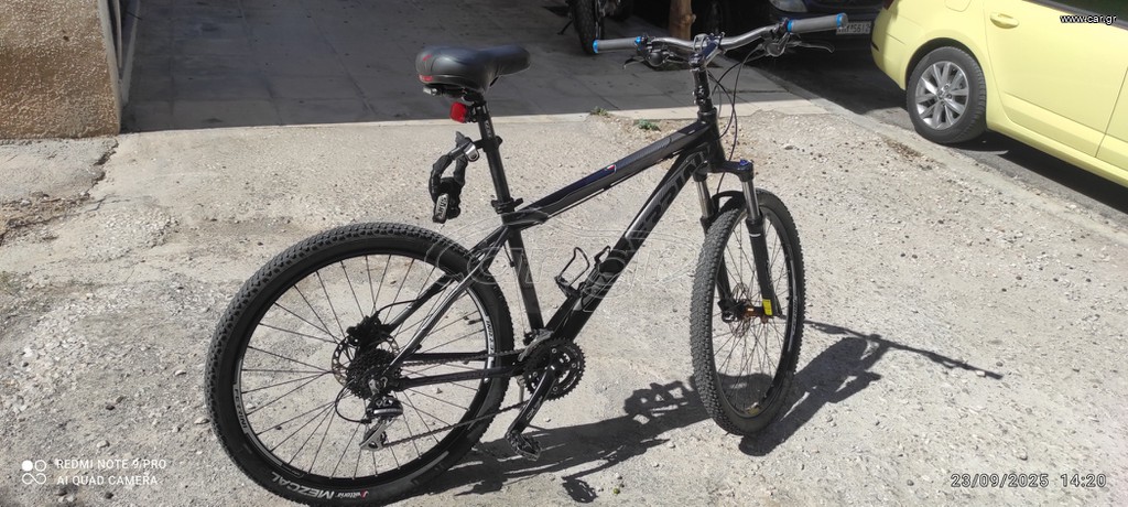 All - Mountain 2016 FERRINI