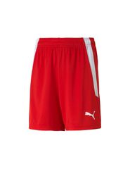 Puma teamLIGA Jr 704931 01 shorts