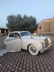 Jaguar MK 1953
