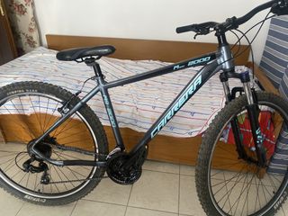 All - Mountain Carrera 2025 M9 2000VB