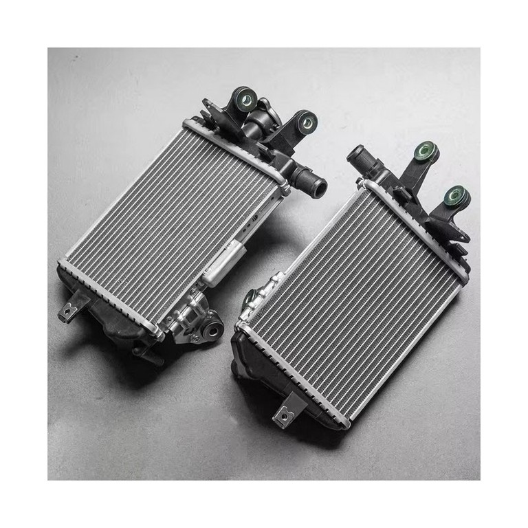 Σετ Ψυγεία Νερού Αλουμινένια Για BMW R1250GS/GSADV 2019-2024