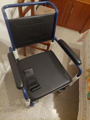 ΑΝΑΠΗΡΙΚΟ ΑΜΑΞΙΔΙΟ