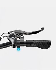 Fat Bikes Engwe 2026 Ep-2 Boost (25 km/h, 13 Ah, 250 Watt)-thumb-5