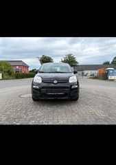 Fiat Panda 2015 Lounge
