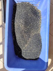 Σπόρος πράσσο