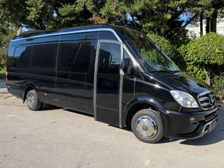 Mercedes-Benz 2008 VIP SPRINTER 516 519 - LUXURY TRANSFER EDITION - NEW MOTOR
