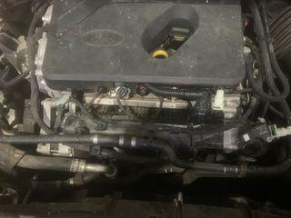 Ford Kuga 2020 ST-LINE-thumb-2