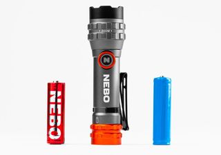 NEBO ΦΑΚΟΣ DAVINCI 450 FLEX 450lm (NEB-FLT-1046-G)