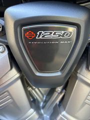 Harley Davidson Pan America 2021-thumb-3