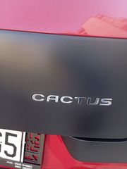 Citroen C4 Cactus 2017 Euro 6... Άριστο.τελικη τιμή-thumb-9