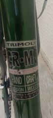 All - Mountain Ideal 2001 Safari - Cromoly