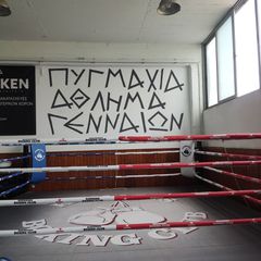 Ρινκ πυγμαχίας και kick boxing-thumb-7